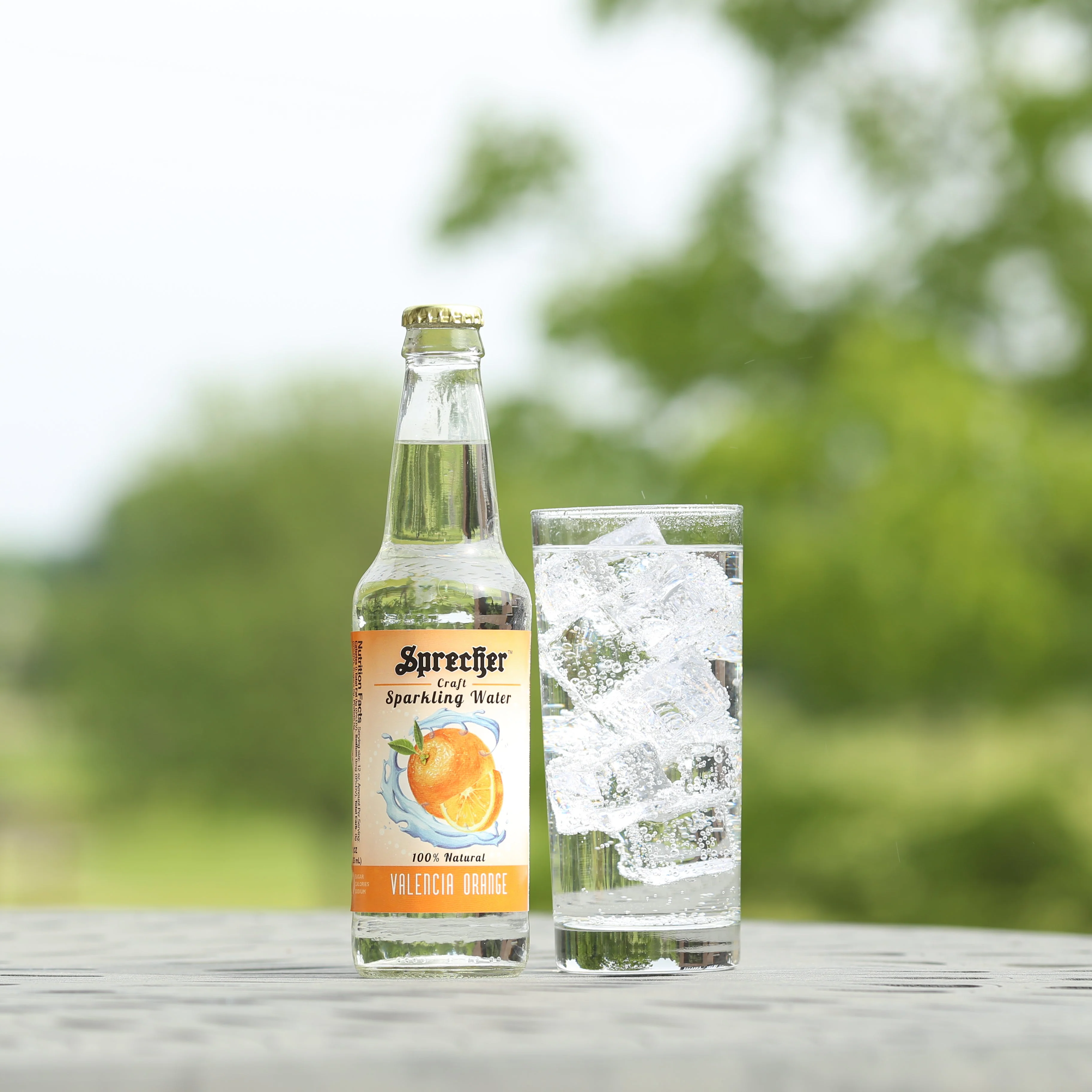 Sparkling Water Variety Pack - Image 3