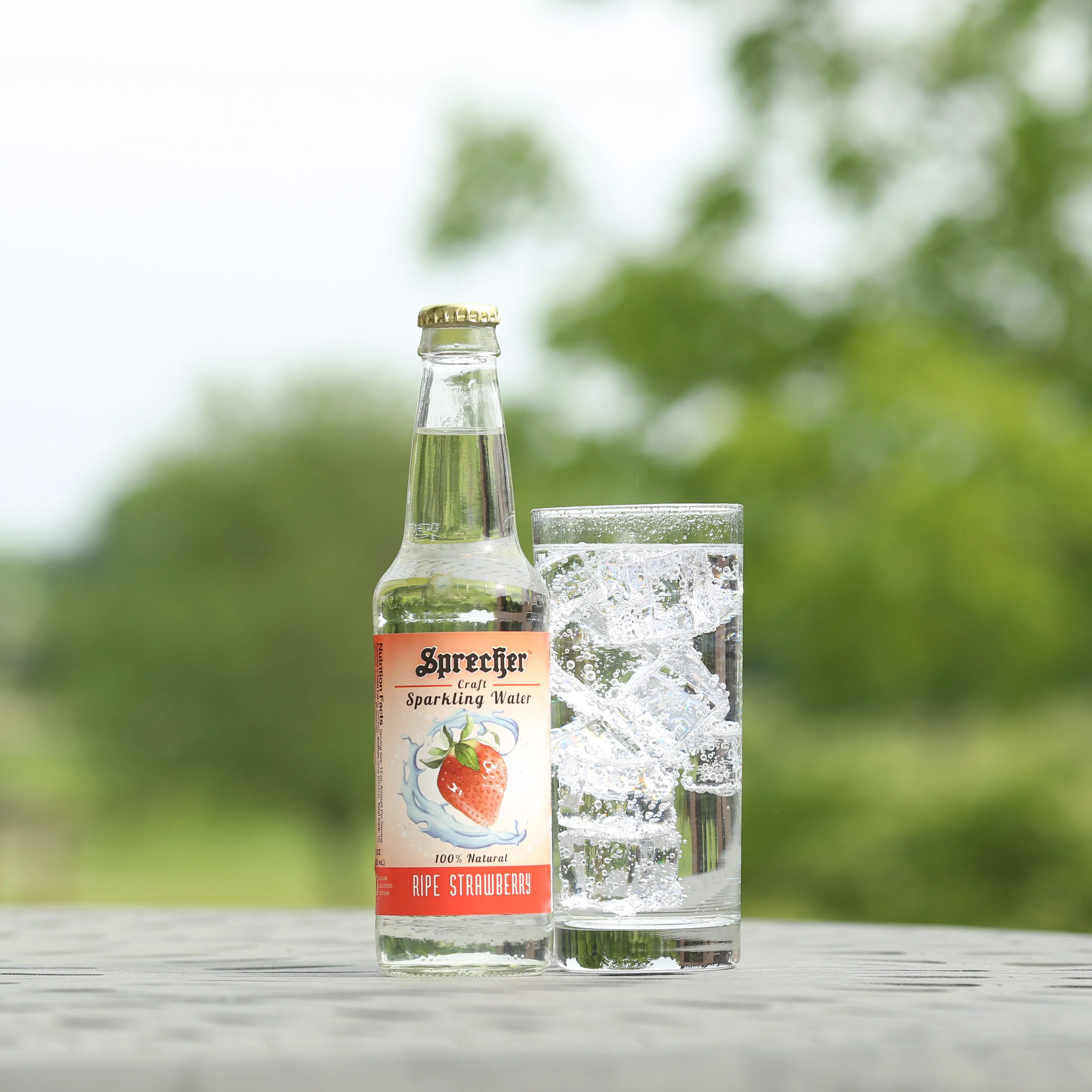 Sparkling Water Variety Pack - Image 6